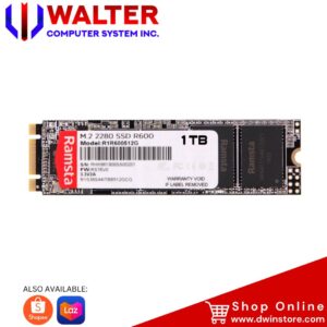 RAMSTA R900 1TB NVME